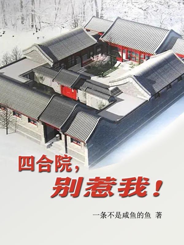 四合院别墅自建房